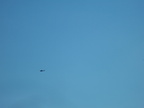 IMG 3600